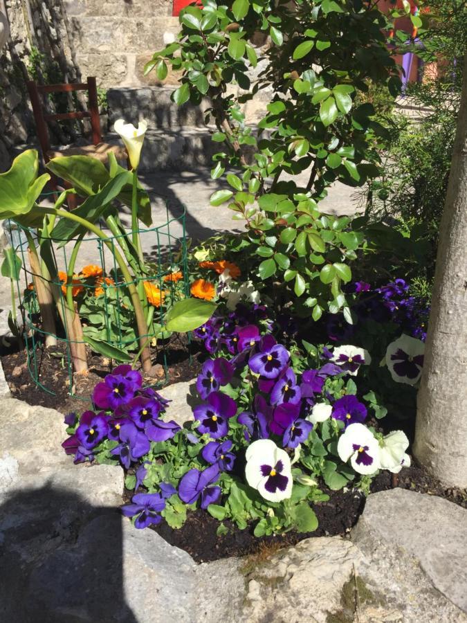 La Cle Des Songes Bed and Breakfast Claviers Εξωτερικό φωτογραφία